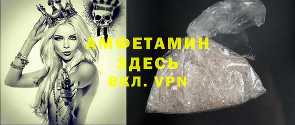 прущие грибы Аркадак