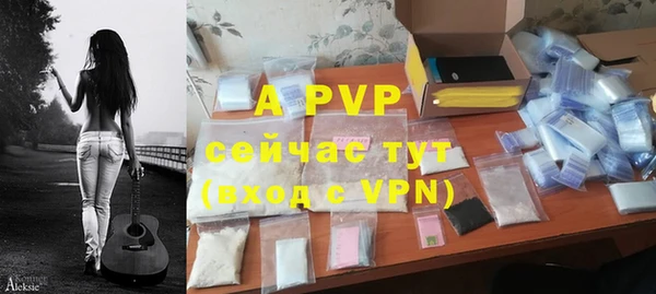 индика Арсеньев