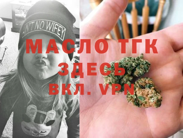 индика Арсеньев
