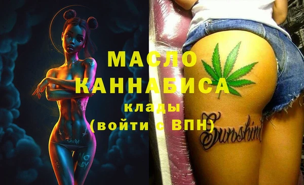 индика Арсеньев