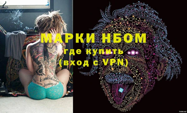 прущие грибы Аркадак