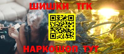 тгк Кингисепп