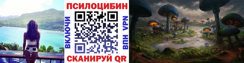 Галлюциногенные грибы мицелий  купить наркотики сайты  площадка наркотические препараты  Кыштым 